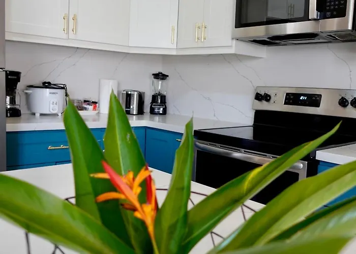 Turquoise Deep Dive Single Storey Сasa de vacaciones Coco